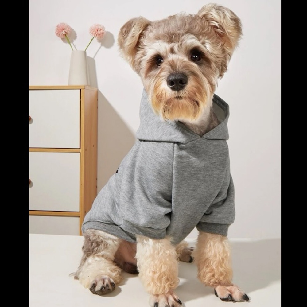 Gray Hoodie Security For Dogš¾āļø - Picture 5 of 8